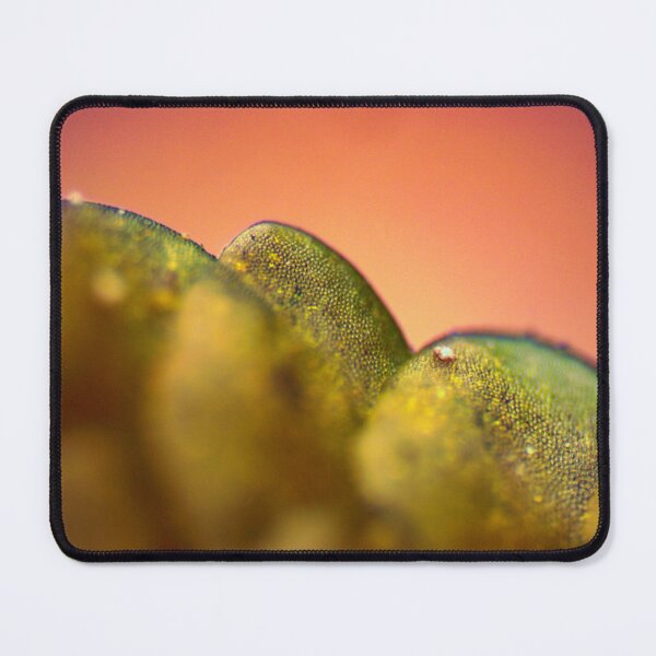 Item preview, Moss 3 designed and sold by Microscope-Art.