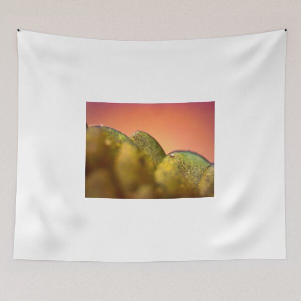 Item preview, Moss 3 designed and sold by Microscope-Art.