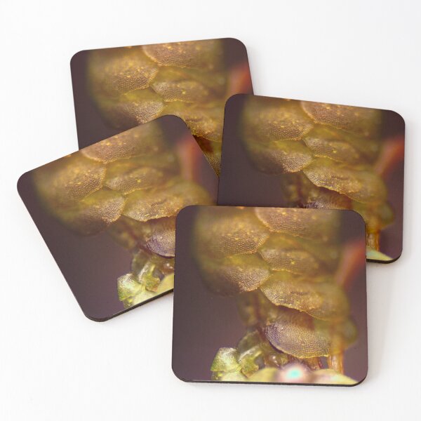 Item preview, Moss 4 designed and sold by Microscope-Art.