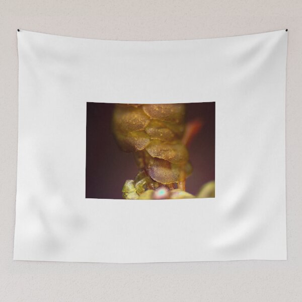 Item preview, Moss 4 designed and sold by Microscope-Art.