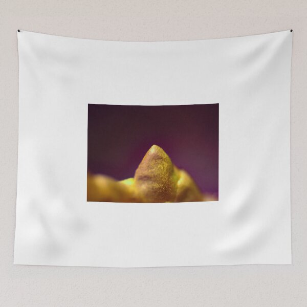 Item preview, Moss 6 designed and sold by Microscope-Art.
