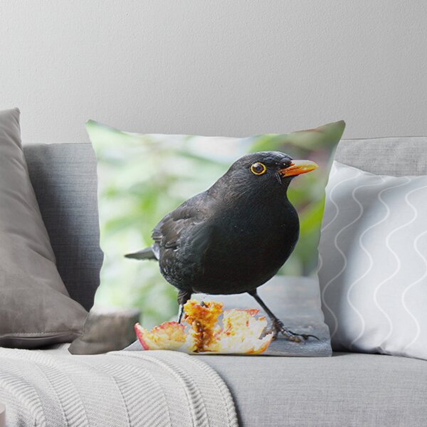 Item preview, Blackbird ......I think this Apple is past its use-by date.....!! designed and sold by Roy  Massicks.