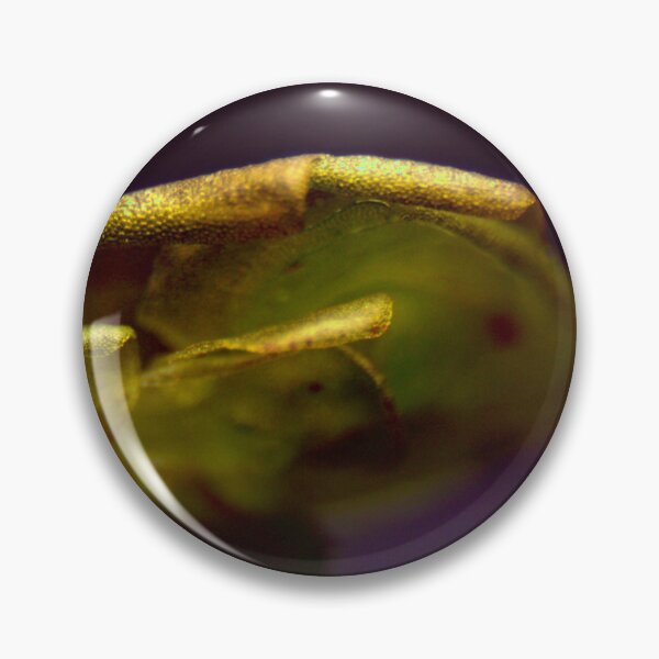 Item preview, Moss 7 designed and sold by Microscope-Art.