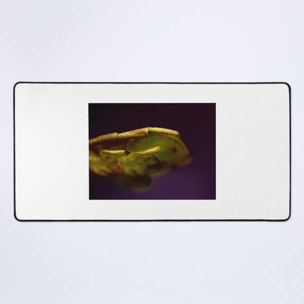 Item preview, Moss 7 designed and sold by Microscope-Art.