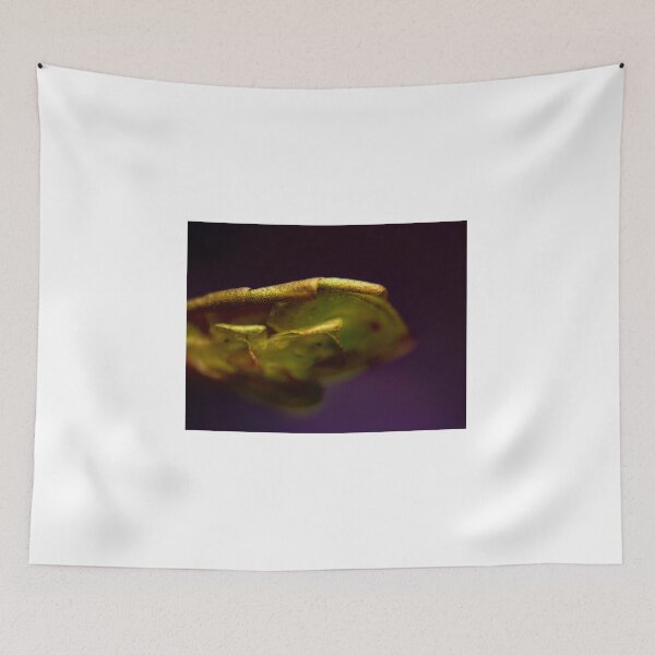 Item preview, Moss 7 designed and sold by Microscope-Art.