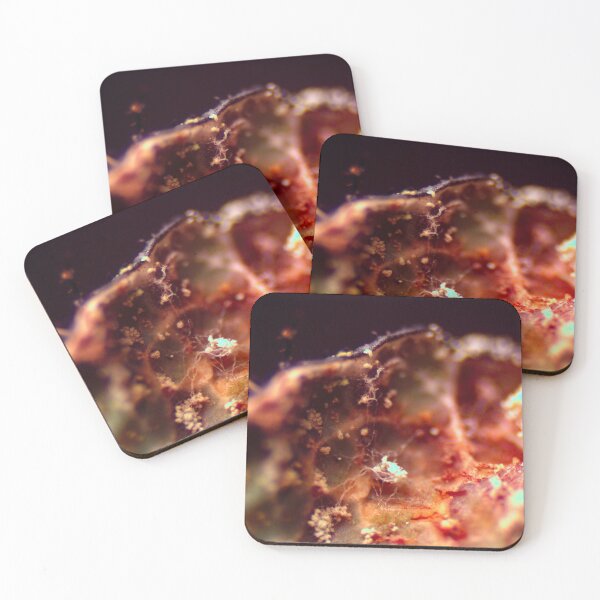 Item preview, Moss 8 designed and sold by Microscope-Art.