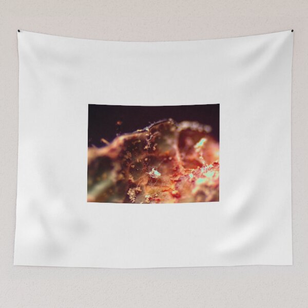 Item preview, Moss 8 designed and sold by Microscope-Art.