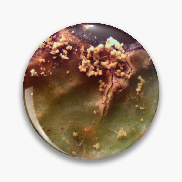 Item preview, Moss 9 designed and sold by Microscope-Art.