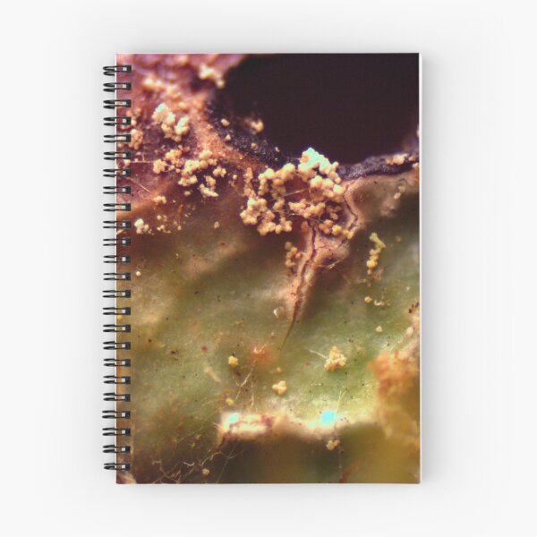 Item preview, Moss 9 designed and sold by Microscope-Art.