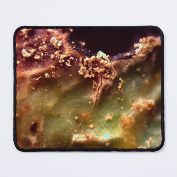 Item preview, Moss 9 designed and sold by Microscope-Art.