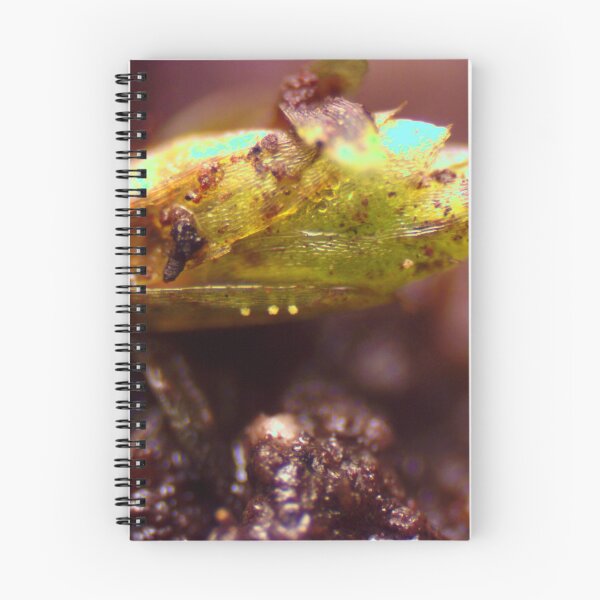 Artikelvorschau, Moos 10 entworfen und verkauft von Microscope-Art.