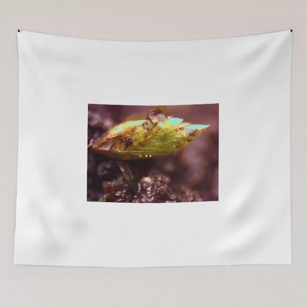 Item preview, Moss 10 designed and sold by Microscope-Art.