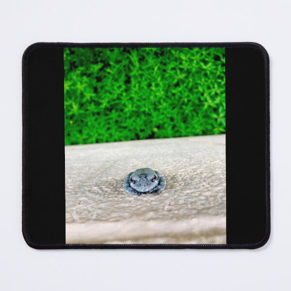 Item preview, Frog  designed and sold by JustinTimePhoto.