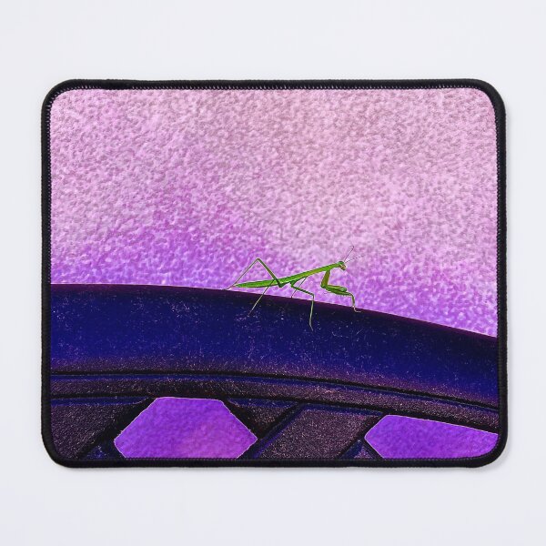 Item preview, Preying mantis  designed and sold by oforshaw5.
