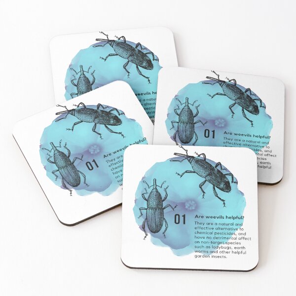 Item preview, Weevils on Blue Morning Flower | Entomology designed and sold by SodaPUNCH.