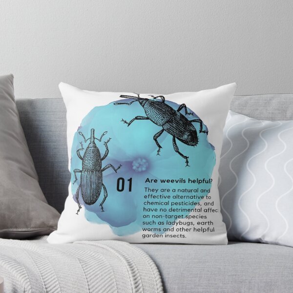 Item preview, Weevils on Blue Morning Flower | Entomology designed and sold by SodaPUNCH.