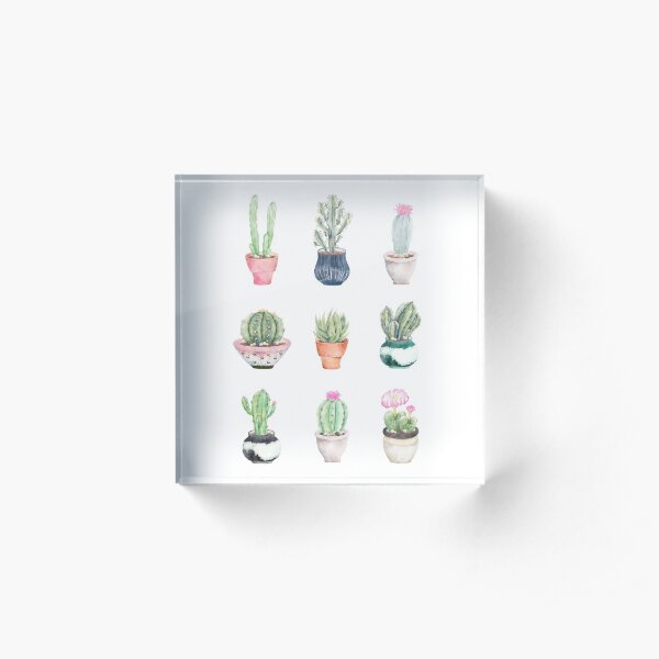 Succulents Acrylic Block