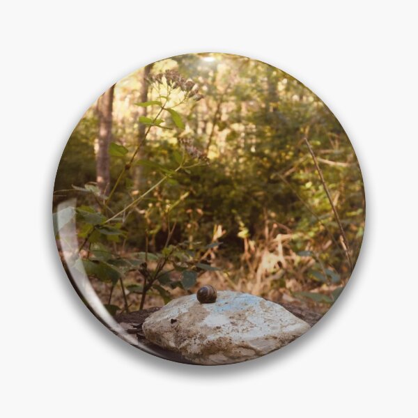 Item preview, Snail on a Rock  designed and sold by JustinTimePhoto.