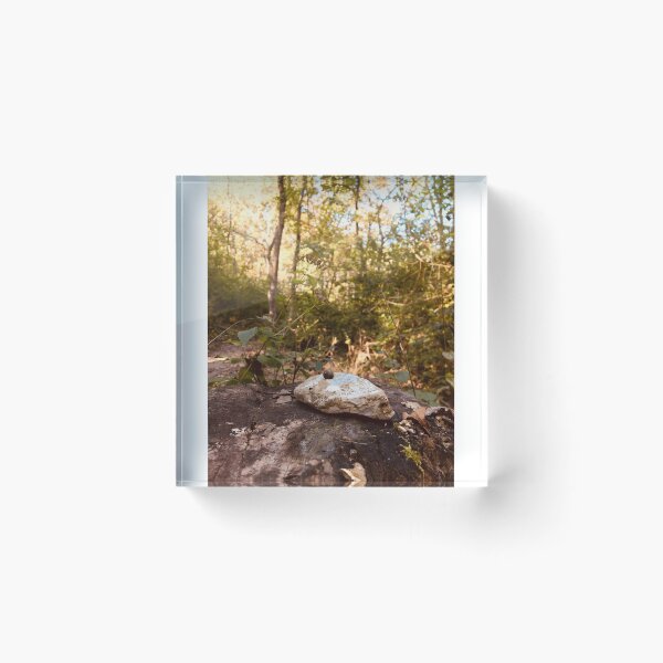 Item preview, Snail on a Rock  designed and sold by JustinTimePhoto.