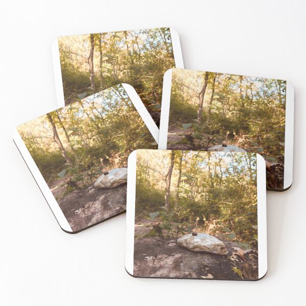 Item preview, Snail on a Rock  designed and sold by JustinTimePhoto.