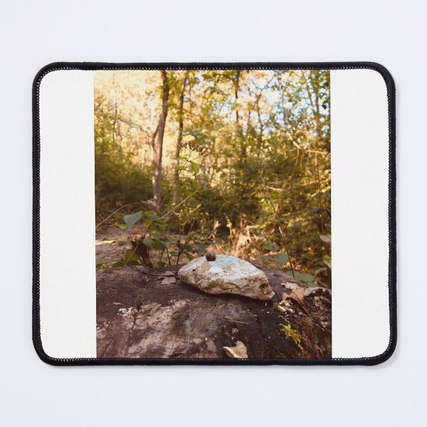 Item preview, Snail on a Rock  designed and sold by JustinTimePhoto.
