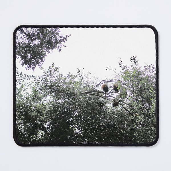 Item preview, Bats in a tree designed and sold by Jodie Cooper.