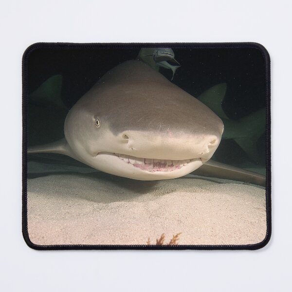 Item preview, Something Is Under The Bed designed and sold by terry goss.