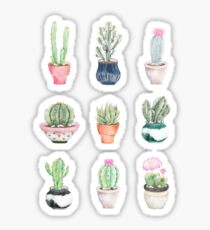 Succulents Sticker