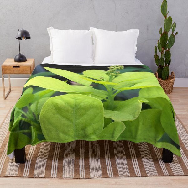 Item preview, Forest Bathing with the Green Leaves of Our Beautiful Planet designed and sold by Photomersion.