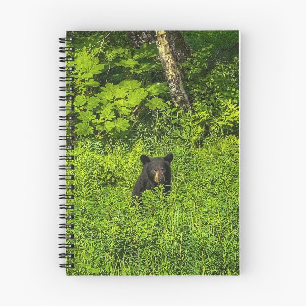 Item preview, Bearly awake designed and sold by CharlieFreds.