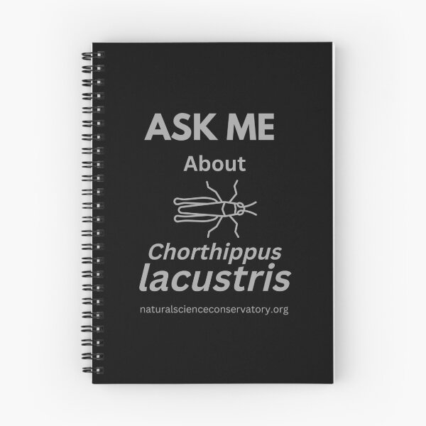 Item preview, Ask Me About Chorthippus lacustris (Epirus Dancing Grasshopper) designed and sold by Discovered.