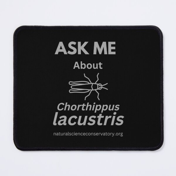 Item preview, Ask Me About Chorthippus lacustris (Epirus Dancing Grasshopper) designed and sold by Discovered.