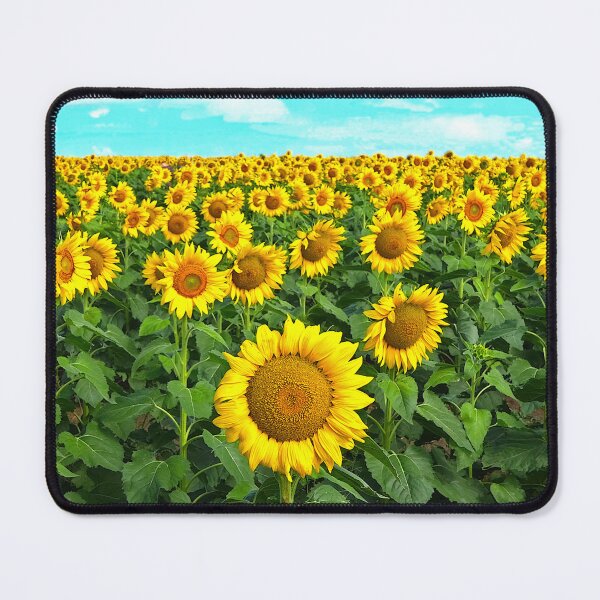 Item preview, Sunflowers designed and sold by pcole123.