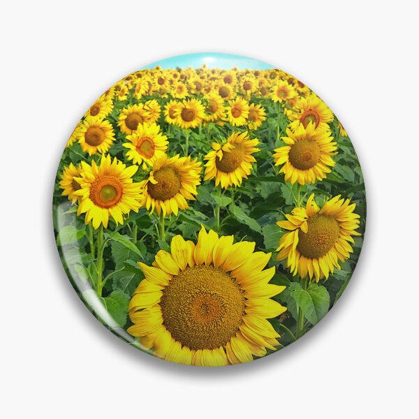 Item preview, Sunflowers designed and sold by pcole123.