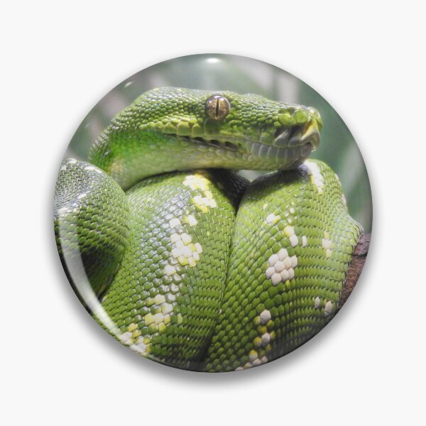 Item preview, Green Tree Python designed and sold by kirstybush.