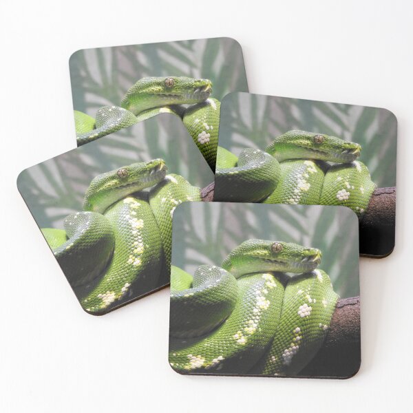 Item preview, Green Tree Python designed and sold by kirstybush.