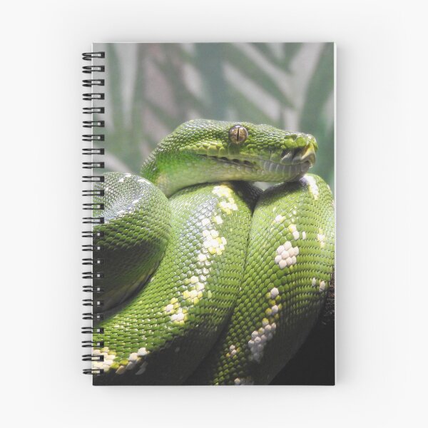 Item preview, Green Tree Python designed and sold by kirstybush.