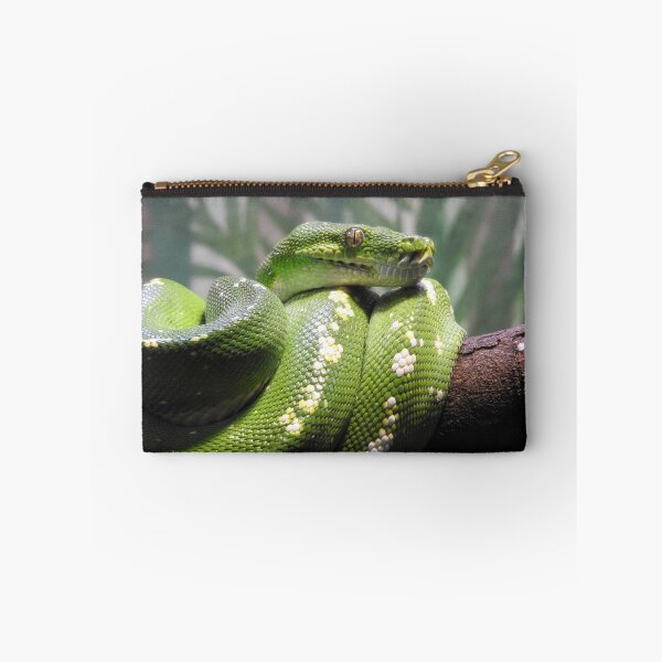 Item preview, Green Tree Python designed and sold by kirstybush.