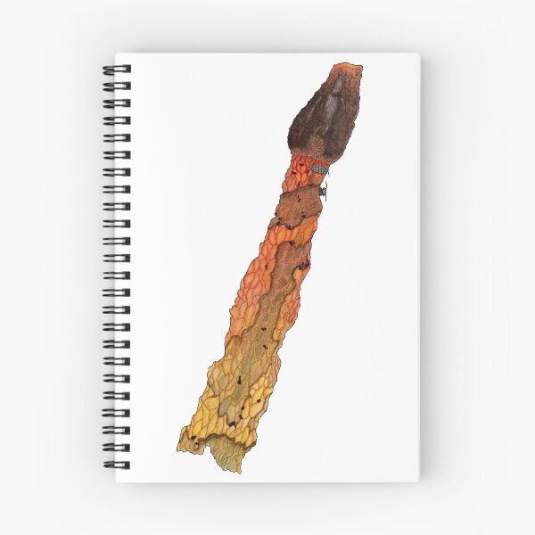 Item preview, Stinkhorn Mushroom designed and sold by branther.