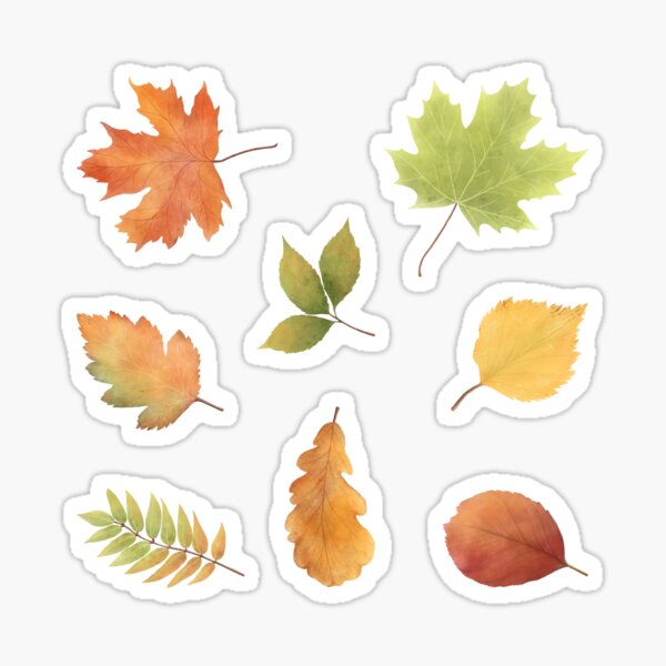 Autumn Leaves Sticker