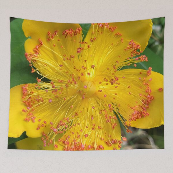 Item preview, Yellow Radiance designed and sold by Photomersion.