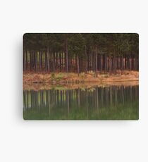 Mirror Canvas Print