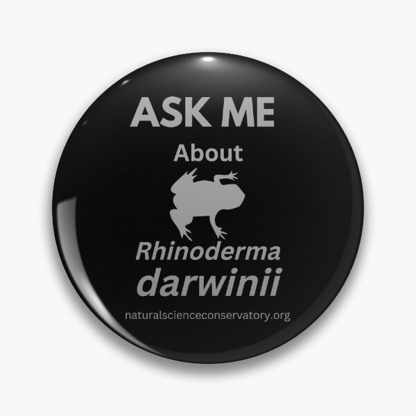 Item preview, Ask Me About Rhinoderma darwinii (Southern Darwin's Frog) designed and sold by Discovered.