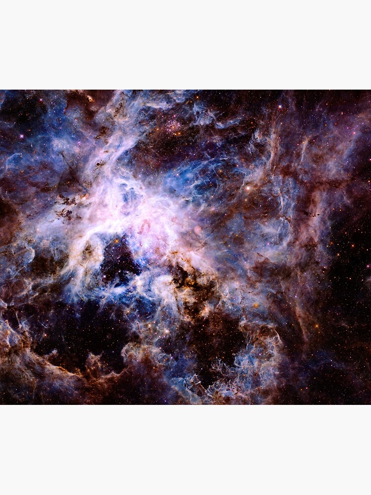Disover The Tarantula Nebula Tapestry