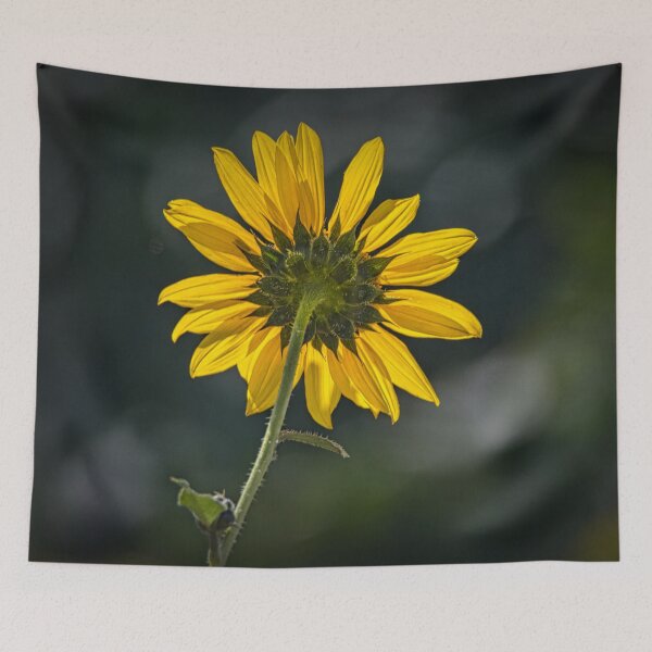 Item preview, Sunny Sunflower Following the Sun designed and sold by Debra Martz.