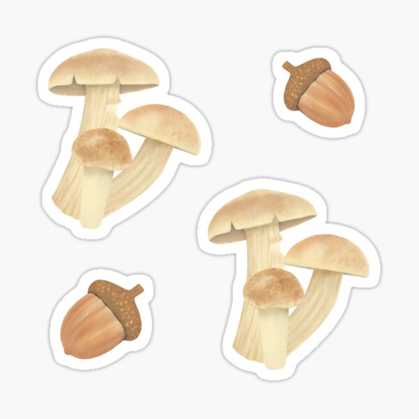 Mushrooms and Acorns Sticker