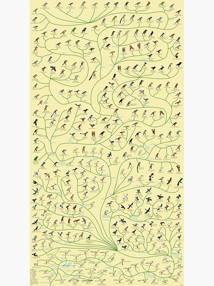 Thumbnail 3 of 3, Poster, Tree of Birds designed and sold by albertonykus.