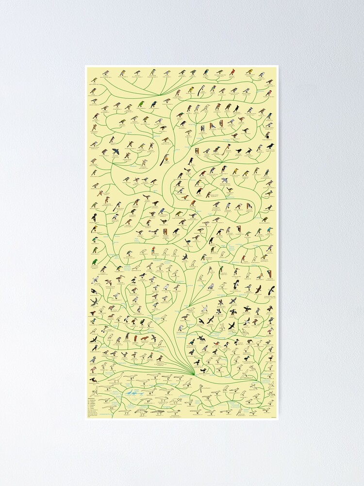 Thumbnail 1 of 3, Poster, Tree of Birds designed and sold by albertonykus.
