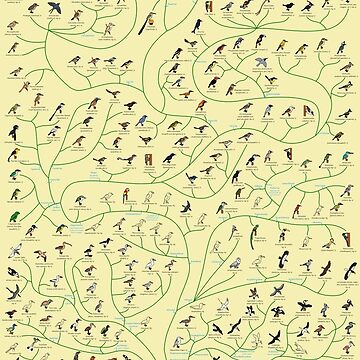 Artwork thumbnail, Tree of Birds by albertonykus