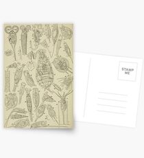 Microscopic Biology Postcards